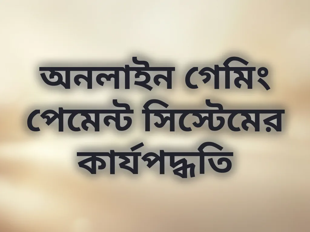 পেমেন্ট গেটওয়ে ফ্লো
